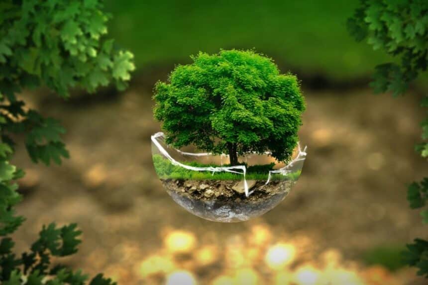 L'Arbre Vert : Produits d'entretien et de bien-être respectueux de la  santé, à impact environnemental réduit.