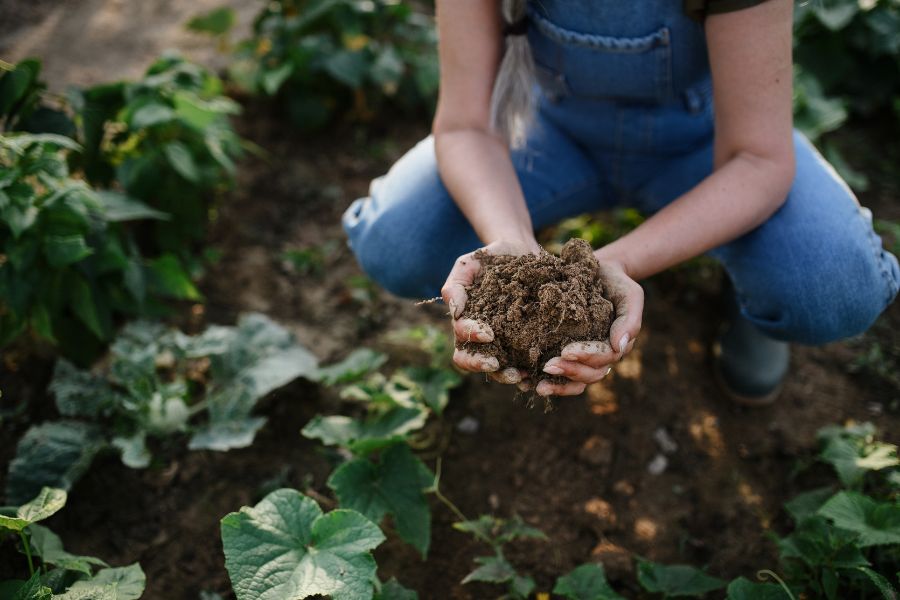 l'agriculture régénérative c'est quoi