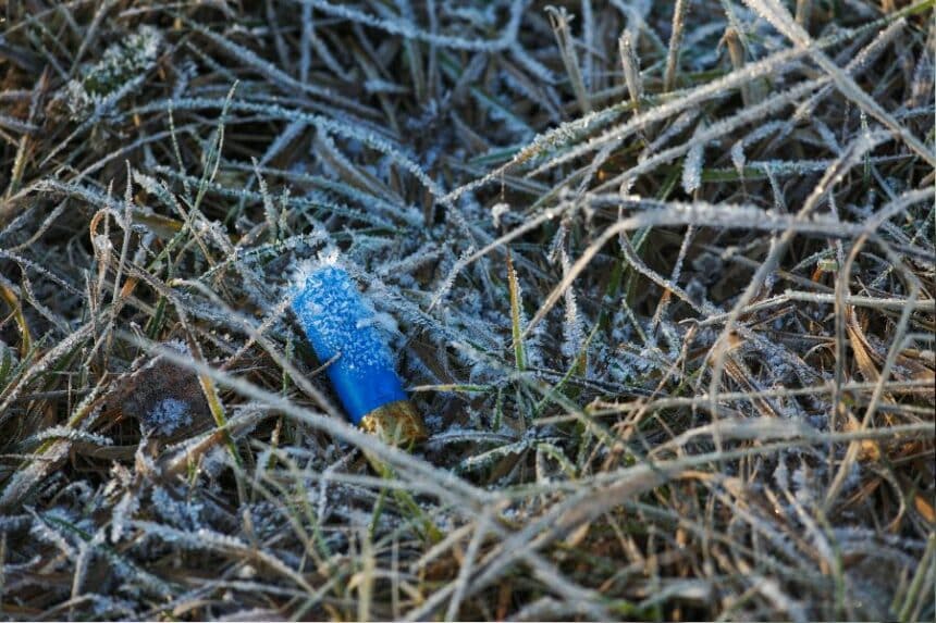 Que faire des vieilles cartouches de chasse ? | Notre Planète Verte